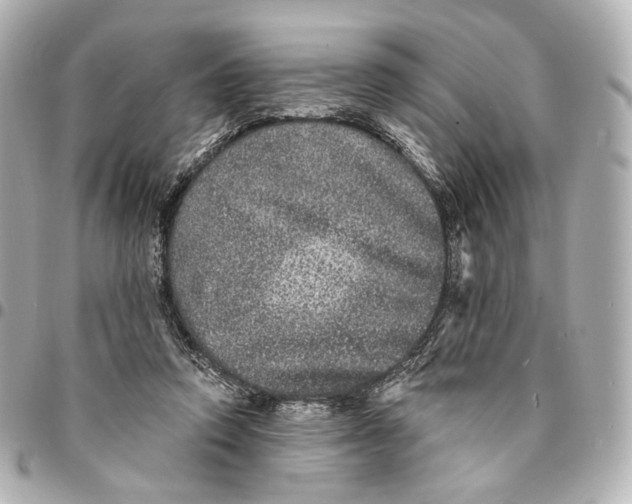 X0000094960354200712201205