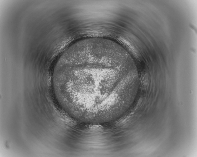 X0000094960355200712201205