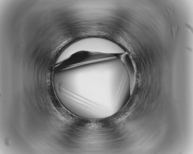 X0000094960356200712201205