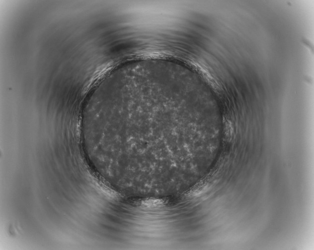 X0000094960357200712201205