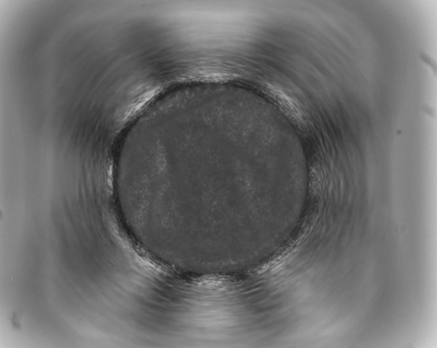 X0000094960358200712201205