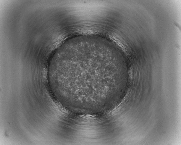 X0000094960359200712201205