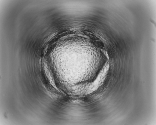 X0000094960360200712201205