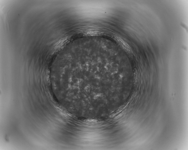 X0000094960361200712201205