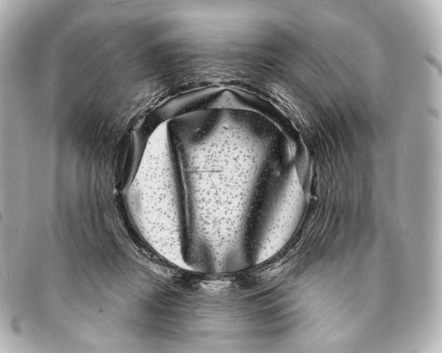 X0000094960362200712201205