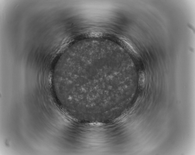 X0000094960363200712201205