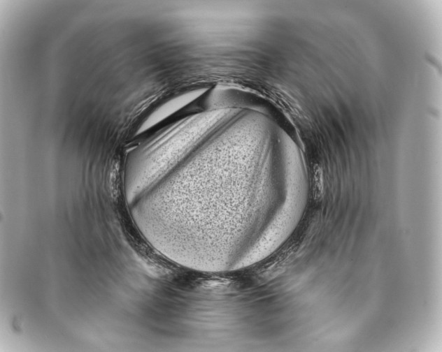 X0000094960364200712201205