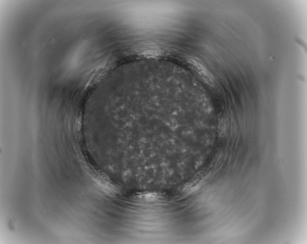 X0000094960365200712201205