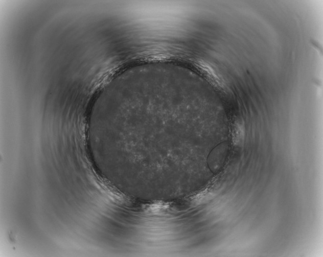 X0000094960366200712201205