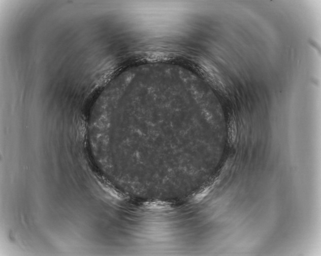 X0000094960367200712201205