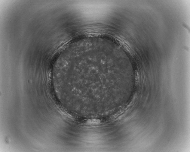 X0000094960369200712201205