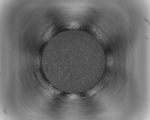 X0000094960370200712201205