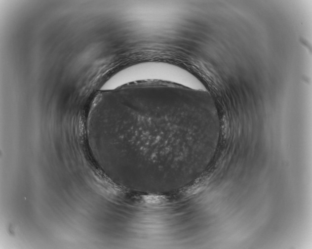 X0000094960371200712201205