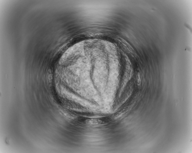 X0000094960372200712201206