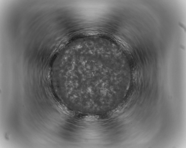 X0000094960373200712201206