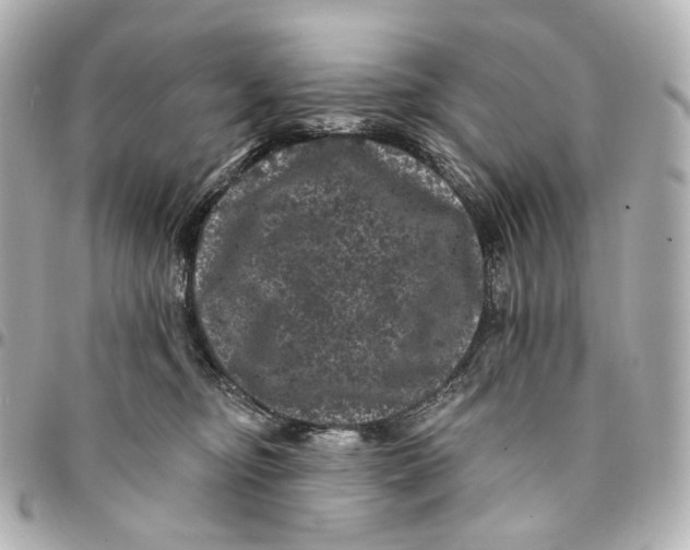 X0000094960374200712201206