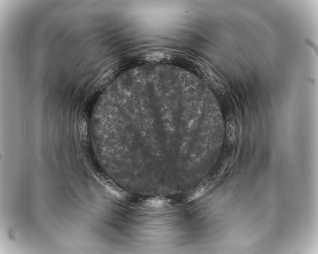 X0000094960375200712201206