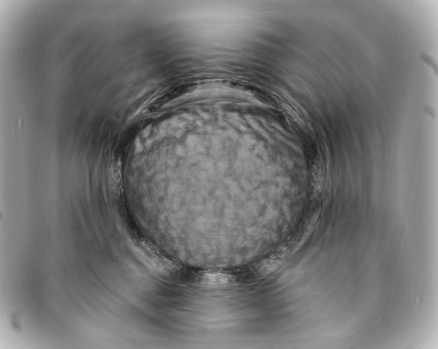 X0000094960376200712201206