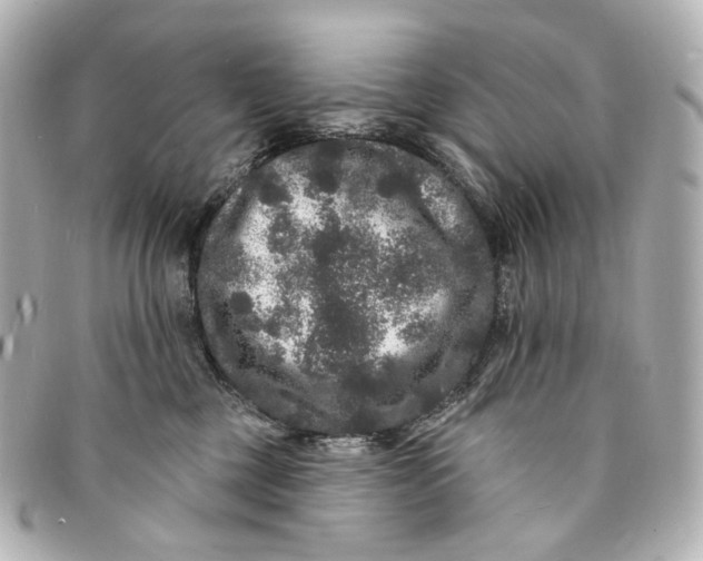 X0000094960377200712201206