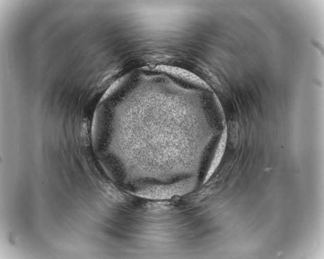 X0000094960378200712201206