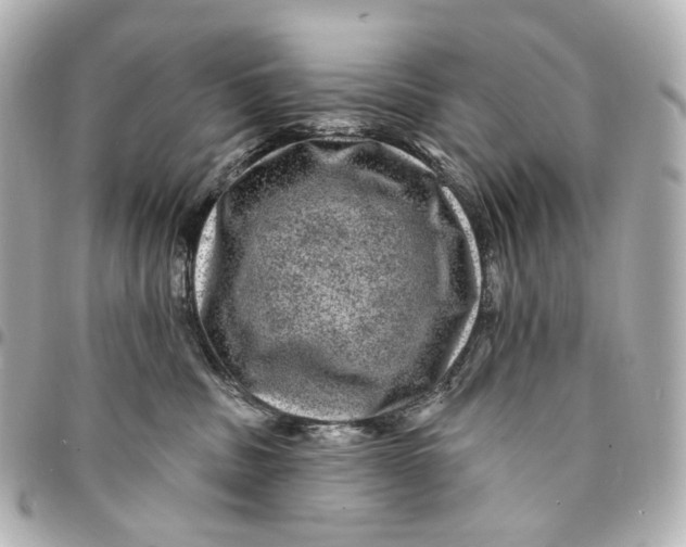 X0000094960379200712201206