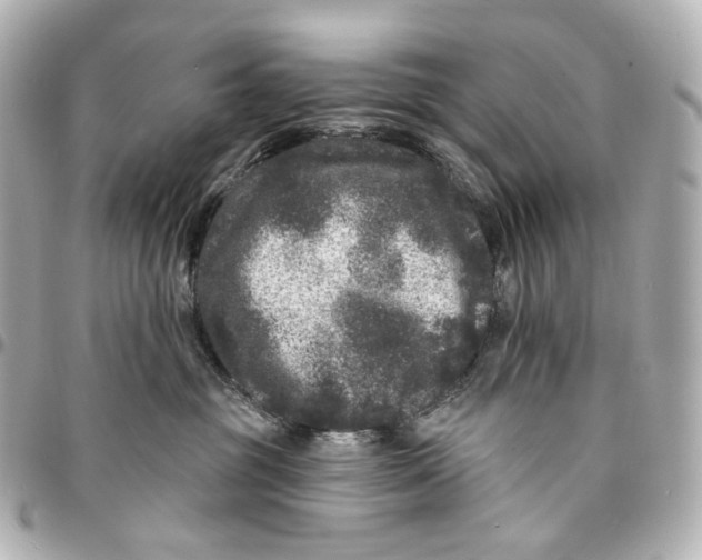 X0000094960381200712201206