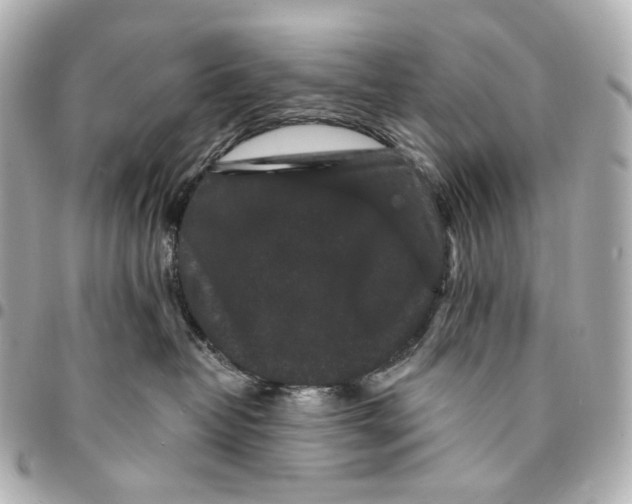 X0000094960382200712201206