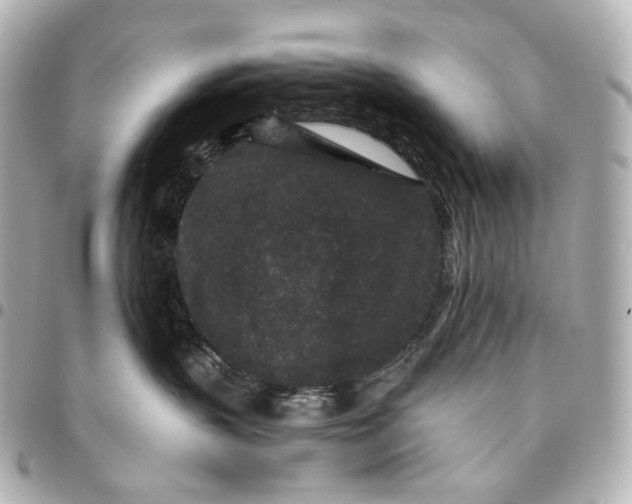 X0000094960383200712201206