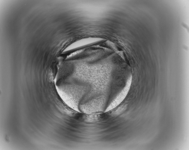 X0000094960384200712201206