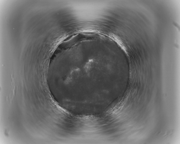 X0000094960385200712201205