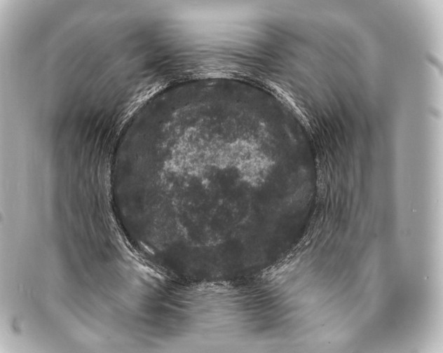 X0000094960386200712201205