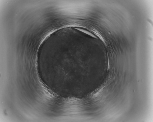 X0000094960387200712201205