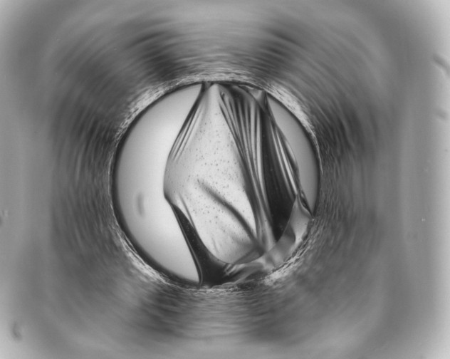 X0000094960389200712201205