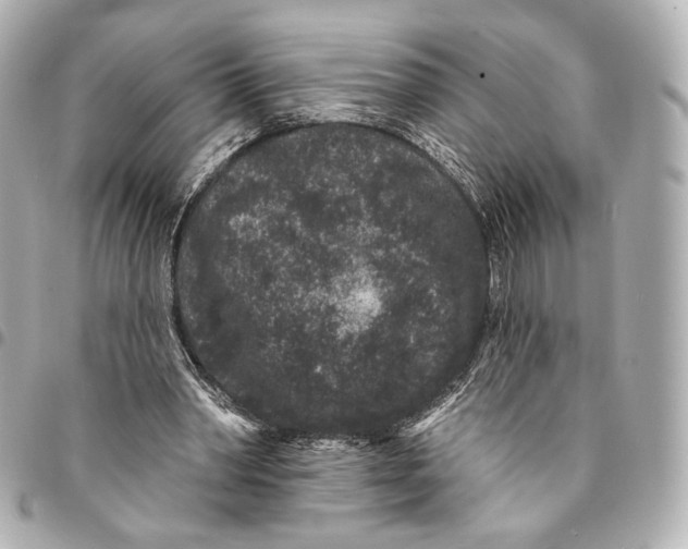 X0000094960390200712201205