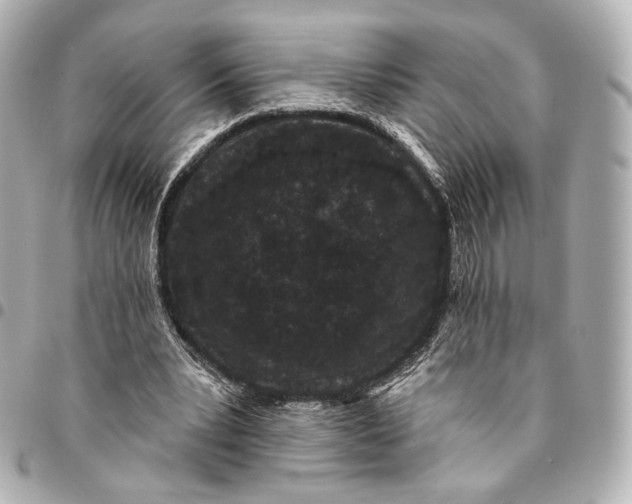 X0000094960391200712201205