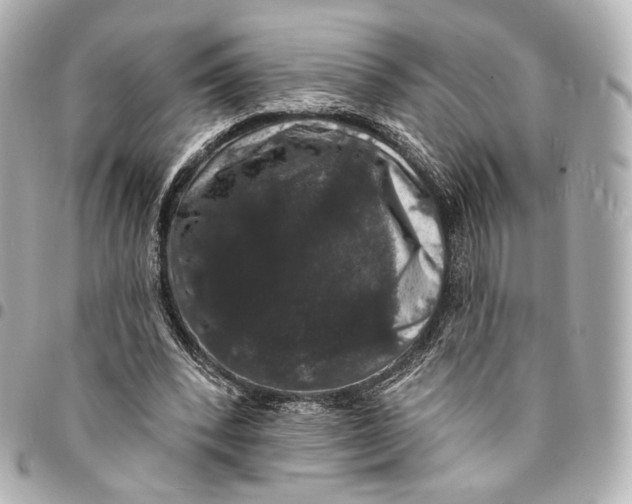 X0000094960392200712201205