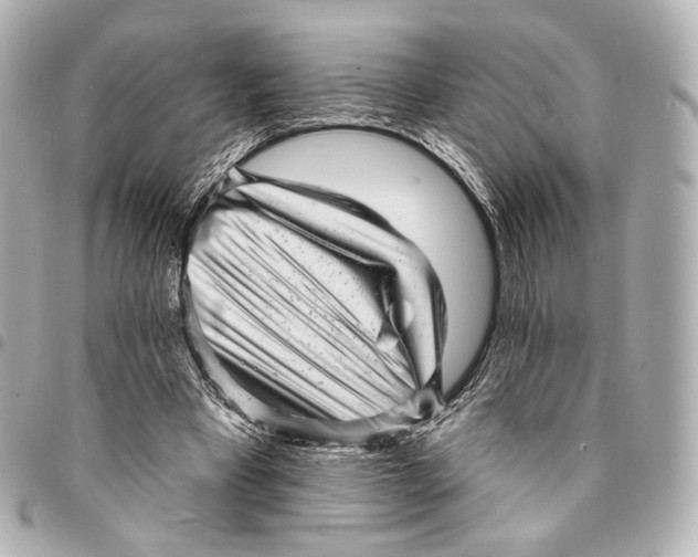 X0000094960393200712201205