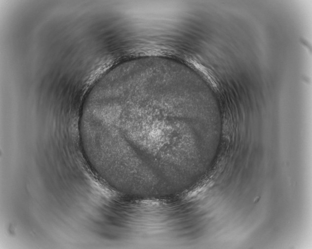 X0000094960394200712201205