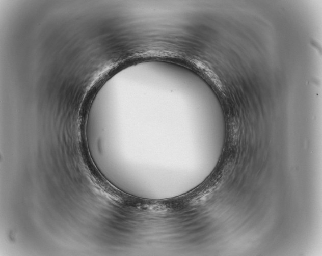 X0000094960395200712201205