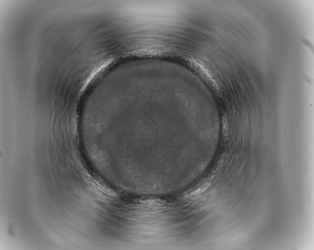 X0000094960396200712201205