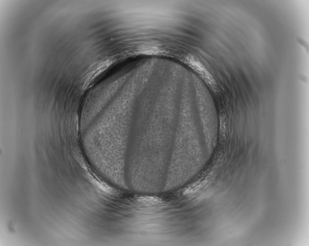 X0000094960397200712201205