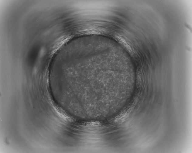 X0000094960398200712201205