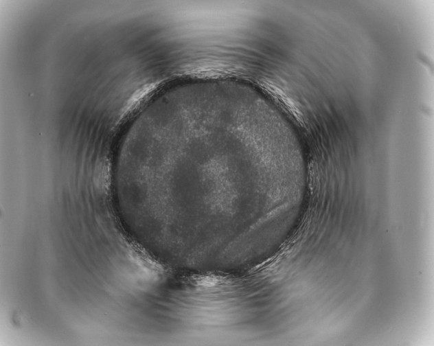 X0000094960400200712201205