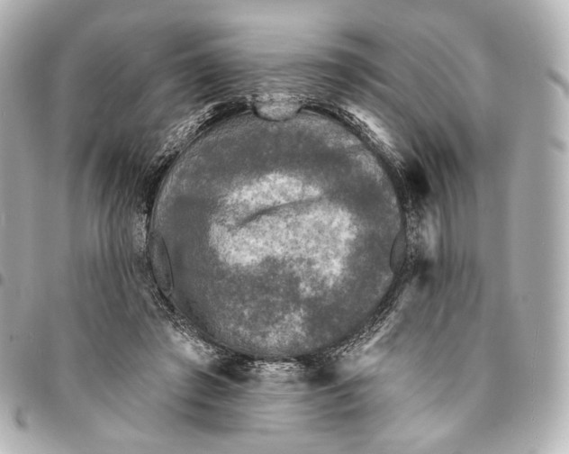 X0000094960401200712201205