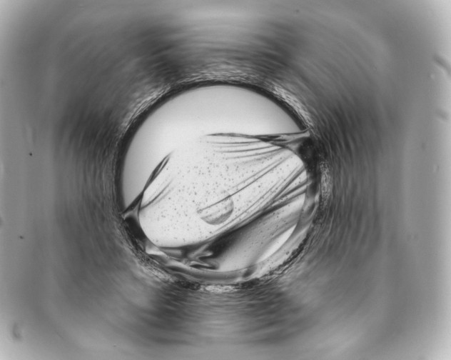 X0000094960403200712201205