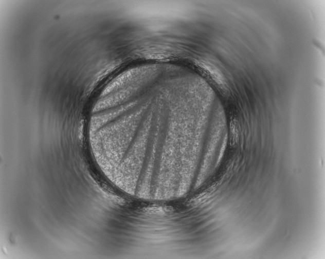 X0000094960404200712201205