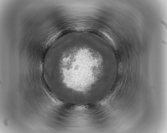 X0000094960405200712201205