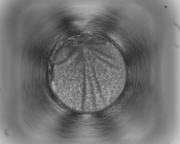 X0000094960406200712201205