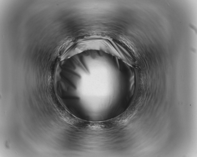 X0000094960407200712201205