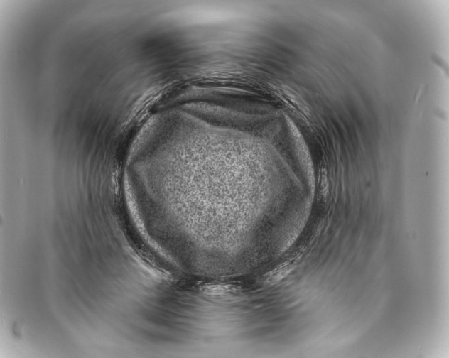 X0000094960408200712201205